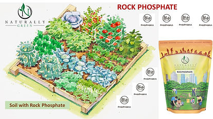 Rock Phosphate