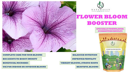 Flower booster