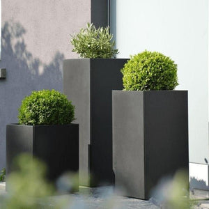 Urban Tower