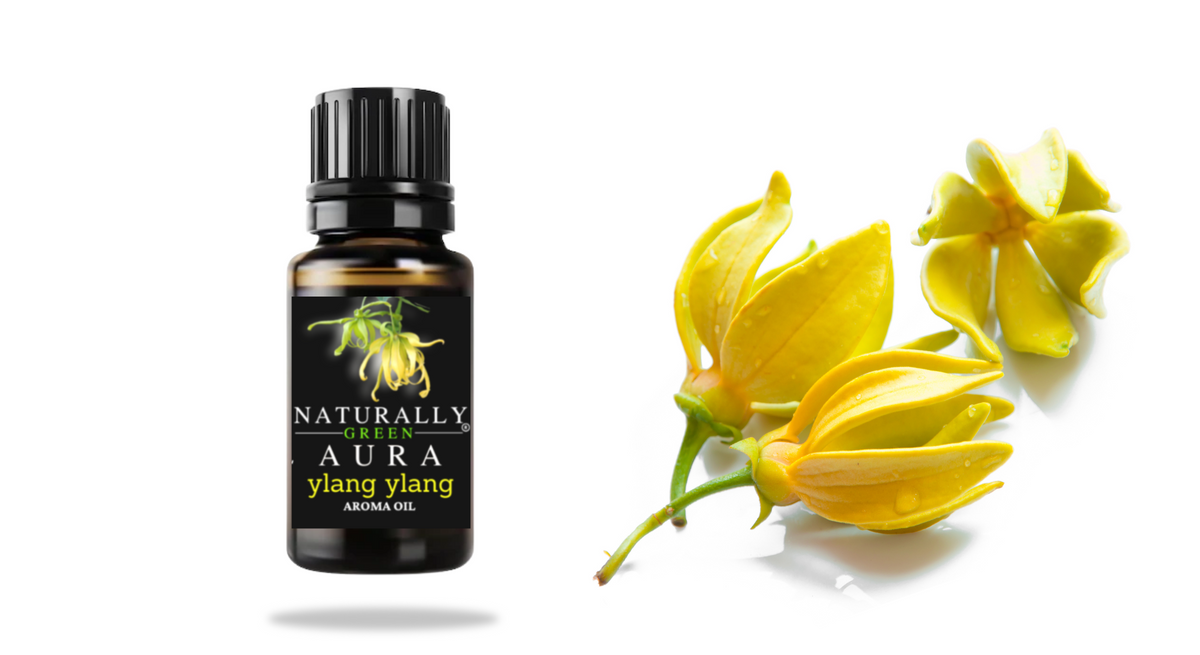 Ng Ylang Ylang Diffuser oil
